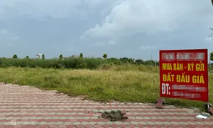 Kiến nghị tăng phạt với sàn giao dịch đẩy giá bất động sản Kiến nghị tăng phạt với sàn giao dịch đẩy giá bất động sản