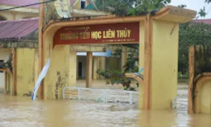 12 trường chưa thể đón học sinh trở lại sau bão Trà Mi 12 trường chưa thể đón học sinh trở lại sau bão Trà Mi