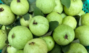 5 quả giàu vitamin C bổ phổi 5 quả giàu vitamin C bổ phổi