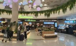 Khách Việt lợi dụng du lịch để trốn ở Hàn Quốc thế nào Khách Việt lợi dụng du lịch để trốn ở Hàn Quốc thế nào