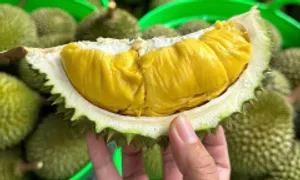 Bị mỡ máu cao ăn sầu riêng được không? Bị mỡ máu cao ăn sầu riêng được không?