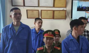 Đại ca bảo kê biển ở Kiên Giang bị phạt 2 năm tù Đại ca bảo kê biển ở Kiên Giang bị phạt 2 năm tù