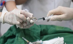 Người quản nghĩa trang bị nấm sợi hiếm gặp tấn công Người quản nghĩa trang bị nấm sợi hiếm gặp tấn công