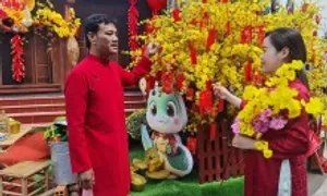 Bệnh nhân du xuân ở đường hoa bệnh viện cầu bình an Bệnh nhân du xuân ở đường hoa bệnh viện cầu bình an