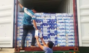Cán bộ hải quan tiếp tay buôn lậu 4.000 thùng sữa từ Mỹ về Việt Nam Cán bộ hải quan tiếp tay buôn lậu 4.000 thùng sữa từ Mỹ về Việt Nam