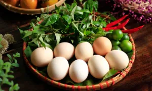 Ăn trứng gà ta bổ hơn trứng công nghiệp? Ăn trứng gà ta bổ hơn trứng công nghiệp?